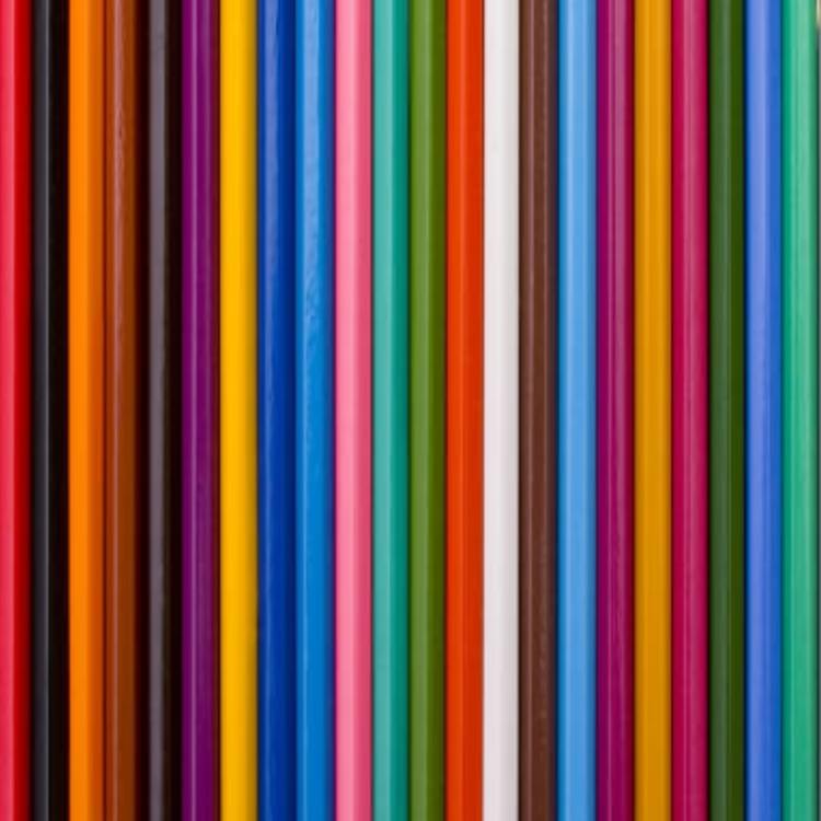 Set De Carboncillos De Colores Chunky X 12 Piezas 497-99