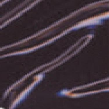 Pintura Acrilex Oleos 330 Violeta Permanente Oscuro