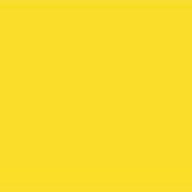 Lapicera Lamy Safari Pluma Amarilla Neon